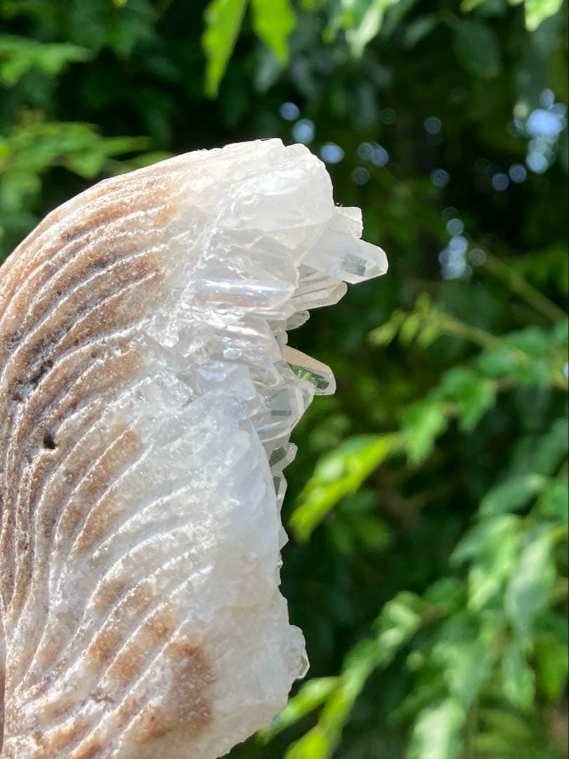 水晶　クラスター　リス　モチーフ　Ｃ