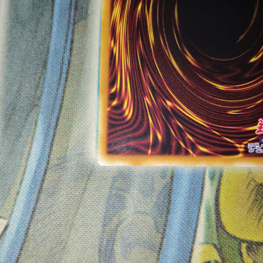 遊戯王 ブラックローズドラゴン ホログラフィック