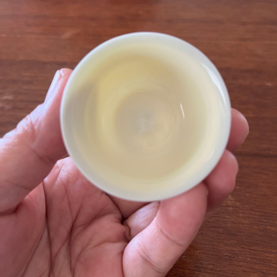 陶器製中国茶器セット（急須・茶杯2個）