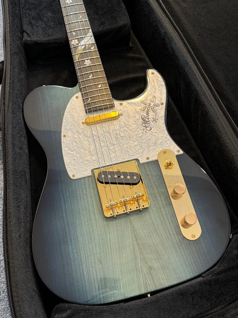 ギター momose MT-HYUGAZAKURA SP 25 E DBL-VGR