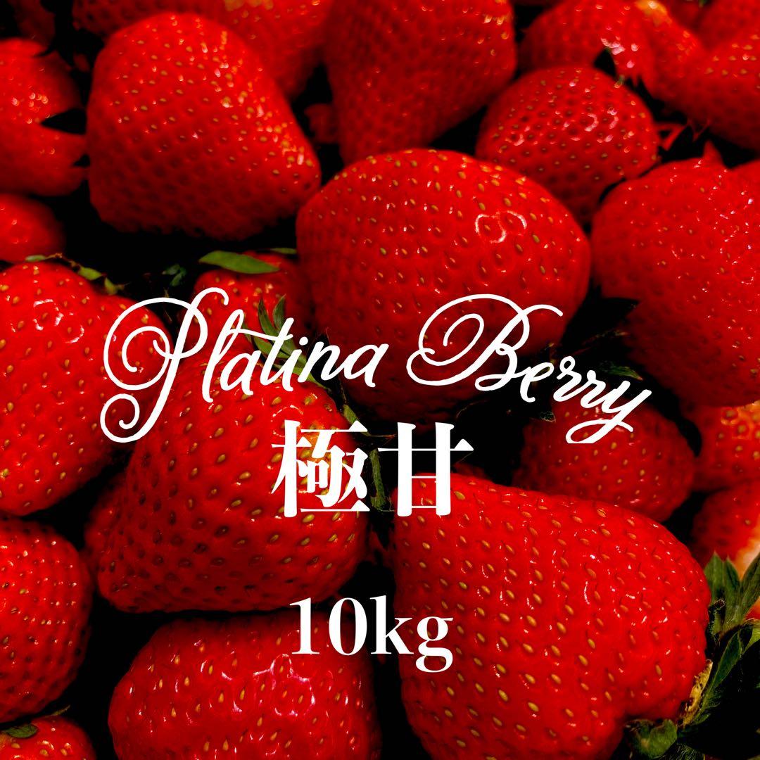 冷凍いちご10kg