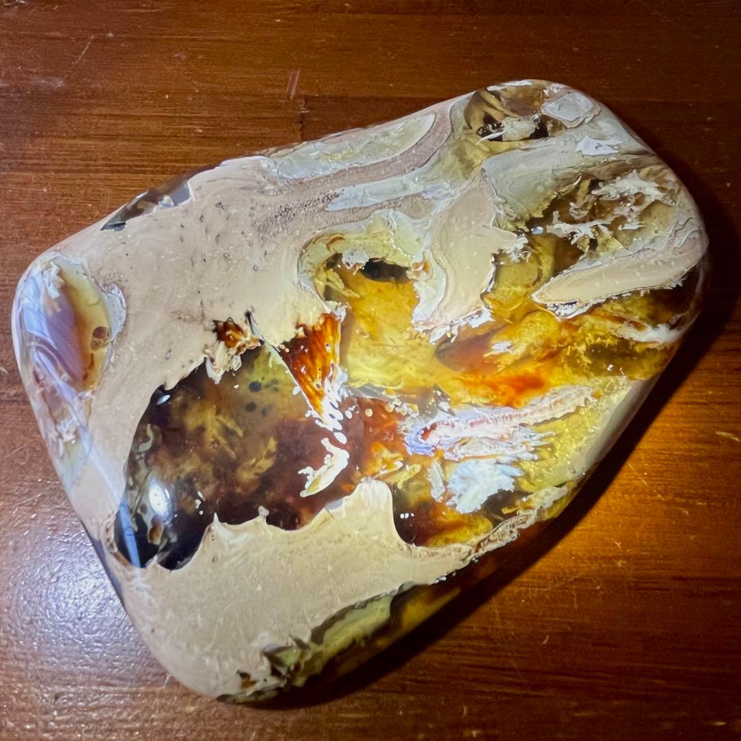 鑑別付 琥珀 原石 標本 巨大 タイガー アンバー レア 希少 鑑賞石