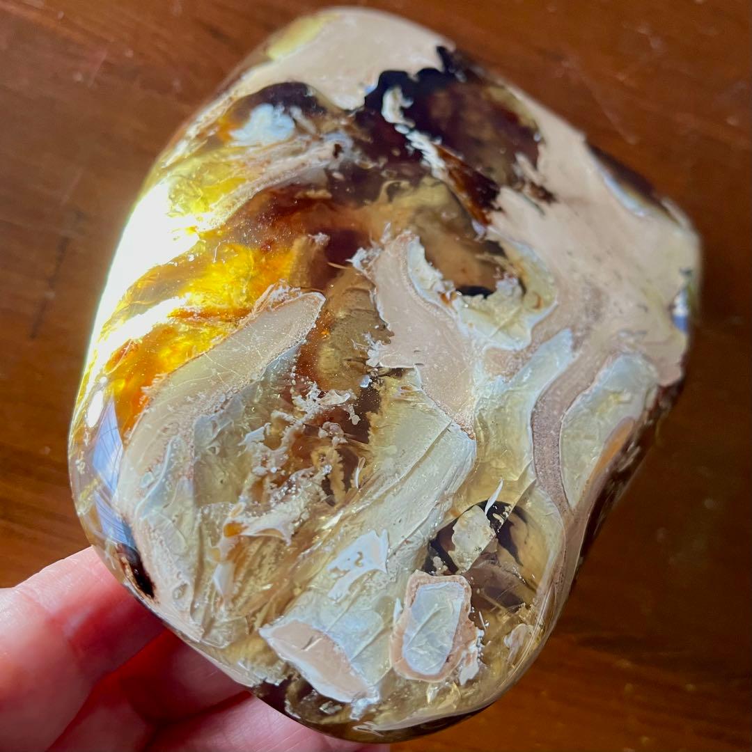 鑑別付 琥珀 原石 標本 巨大 タイガー アンバー レア 希少 鑑賞石