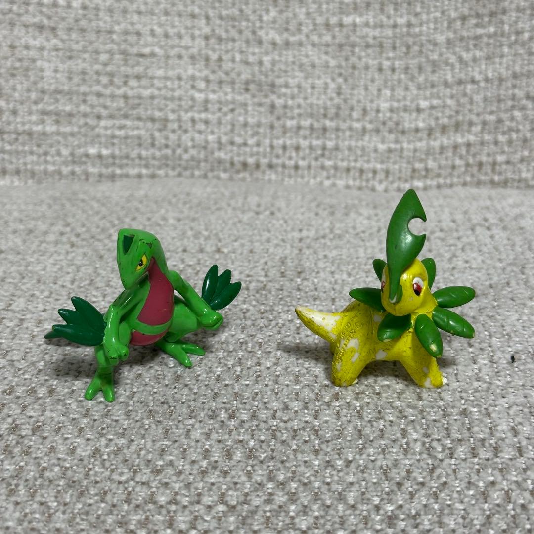 モンコレ　初期　御三家　17体セット