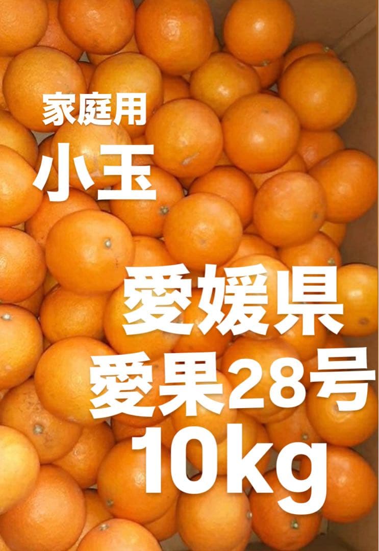 みー　愛媛県産　家庭用　愛果28号　柑橘　10kg