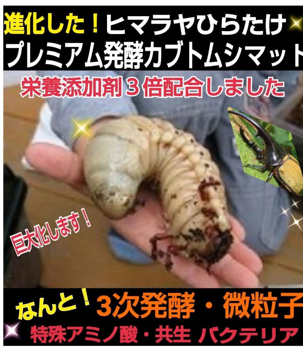 幼虫がビックになる！極上☆プレミアム発酵カブトムシマット【50L】産卵にも抜群！