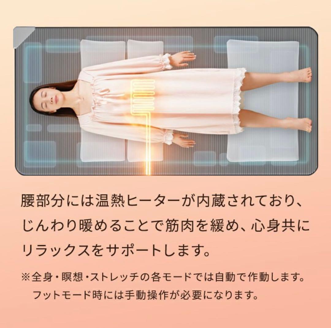 Airtech Sleeper エアテックスリーパー　BlueBlood　新品