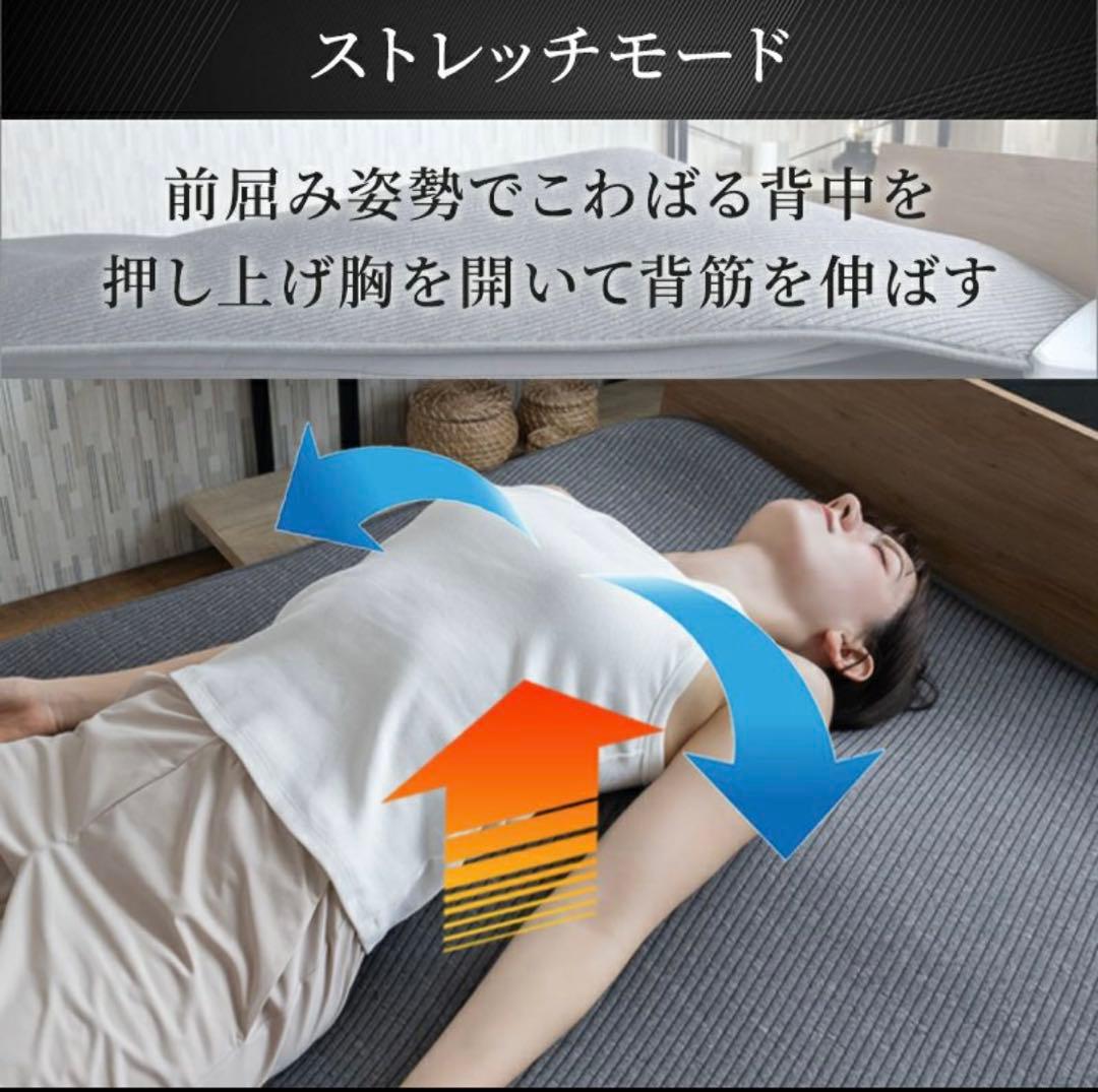 Airtech Sleeper エアテックスリーパー　BlueBlood　新品