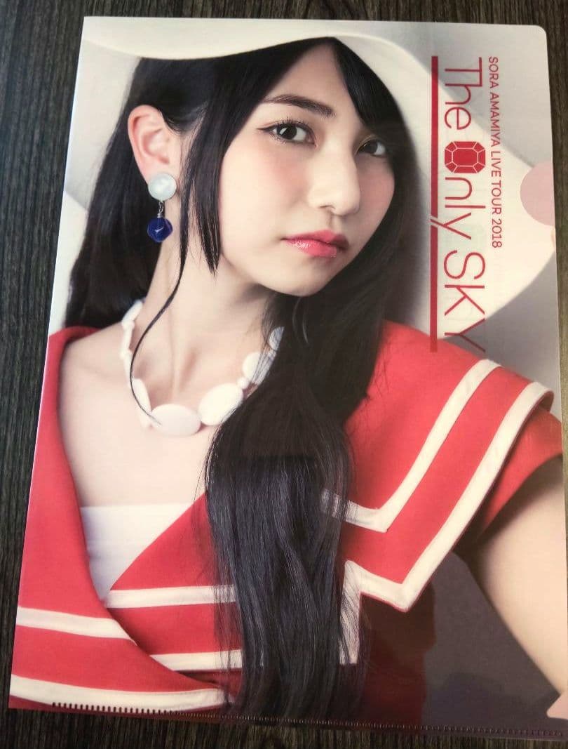 雨宮天 クリアファイル23枚セット