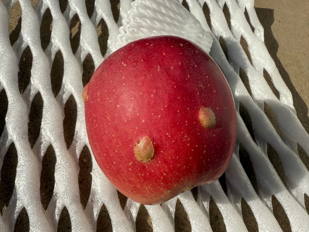 【すみちゃん】5kg×3箱　サンふじ