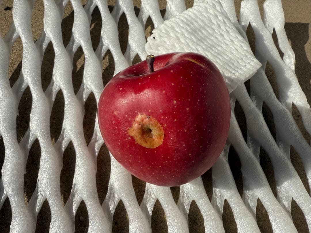 【すみちゃん】5kg×3箱　サンふじ