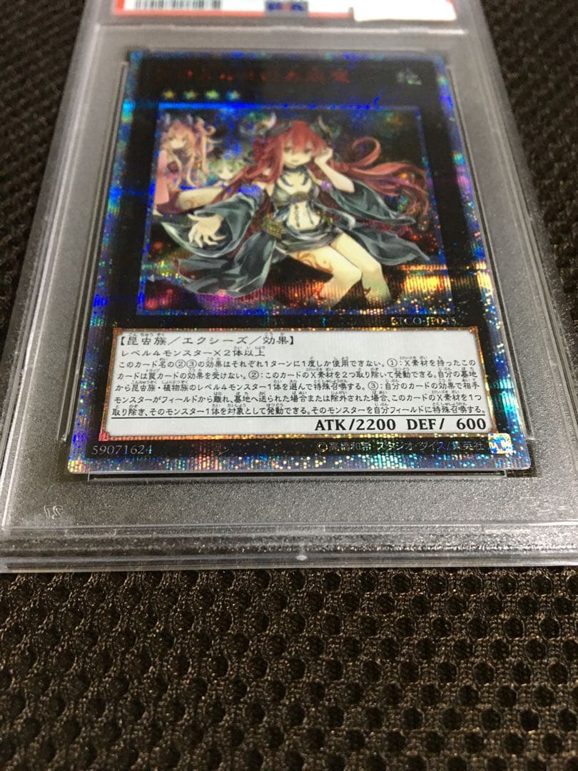 遊戯王 PSA8 現存6枚 アロメルスの蟲惑魔 20thシークレット