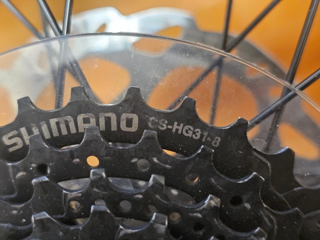 TERN Vektron リアホイール＆新品タイヤセット（20インチ）