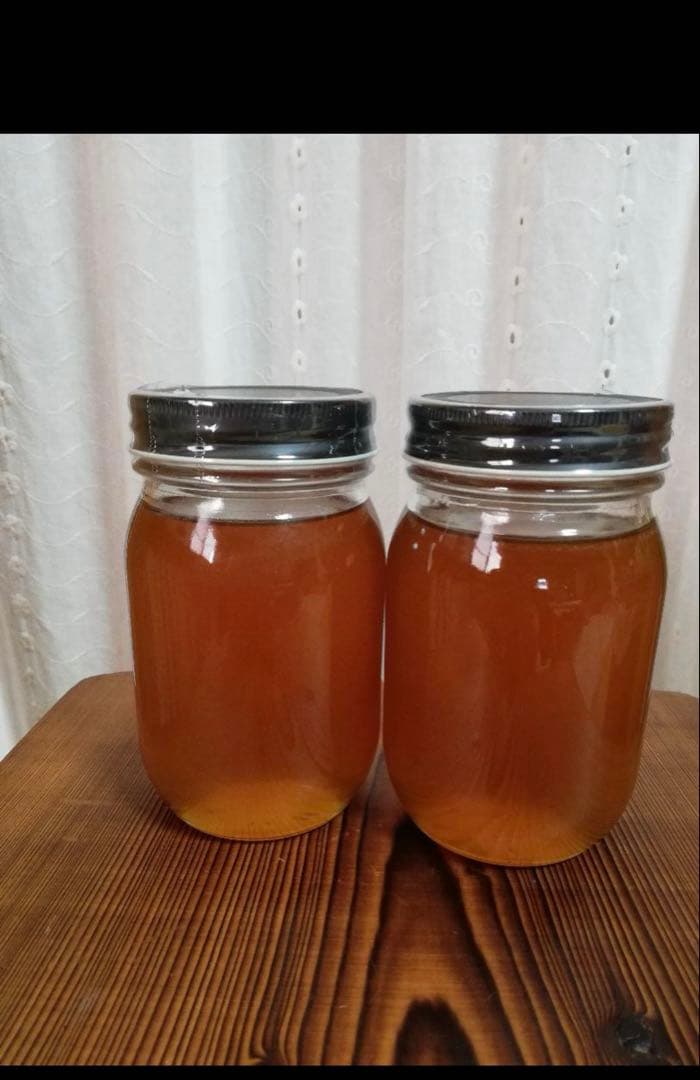 100%天然、絞りたて生はちみつ(日本蜜蜂)620×2個