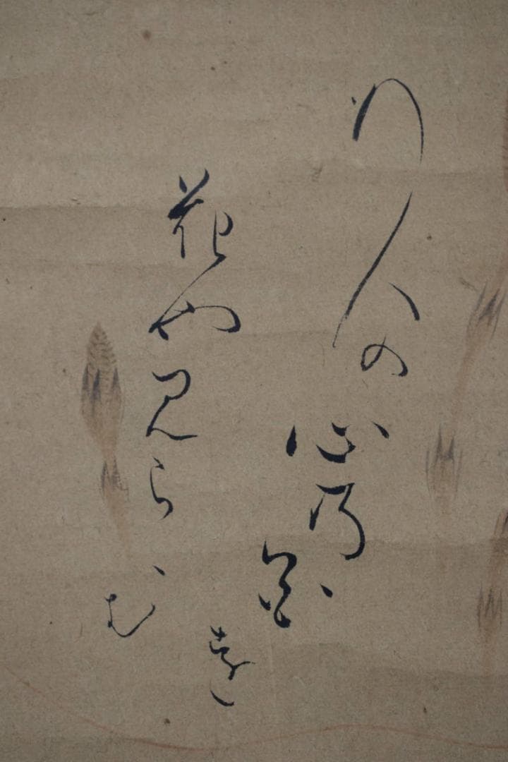 【真作】松村呉春（画）賀茂李鷹（賛）/土筆葛の花/掛軸☆宝船☆Y-773　JM