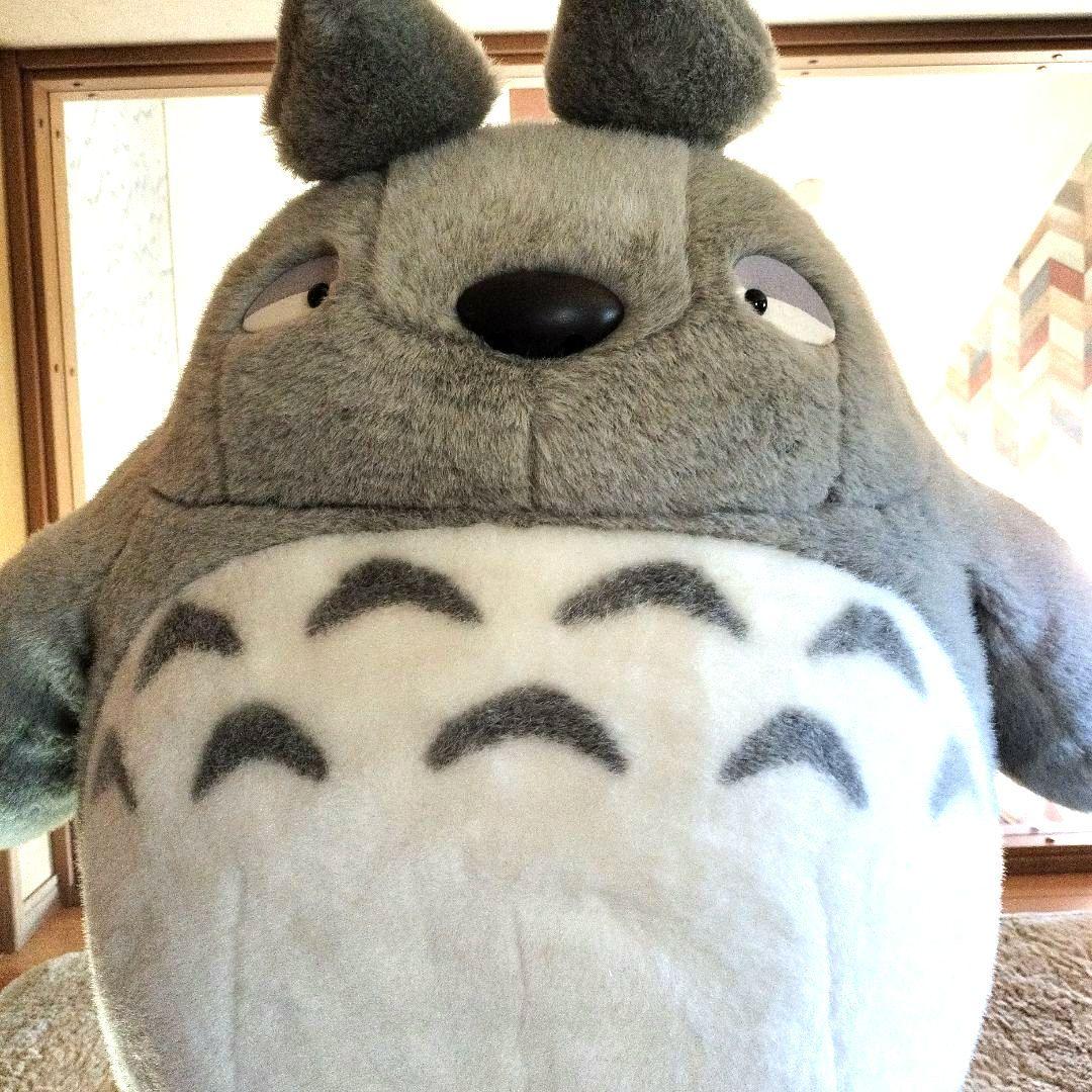 専用になります