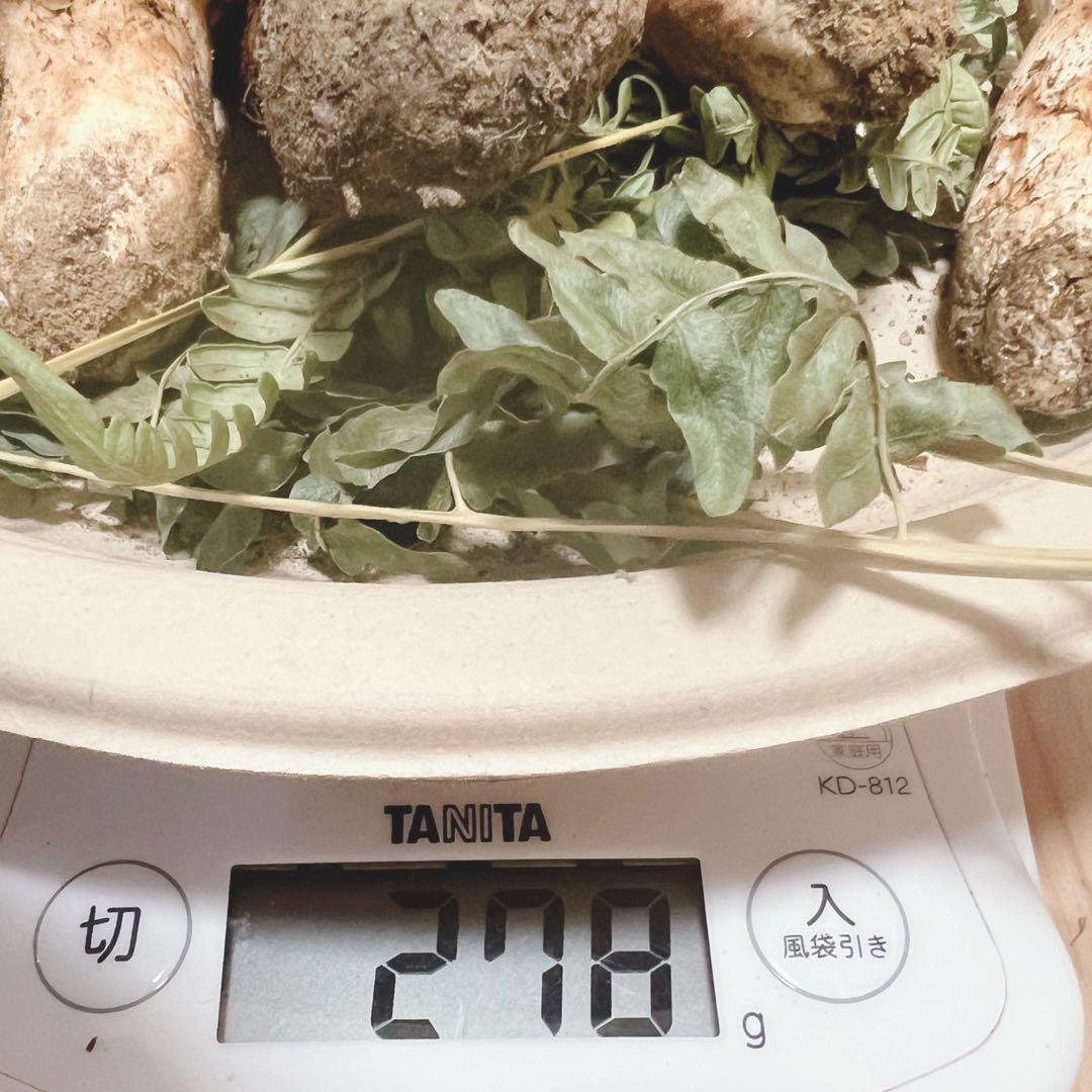 長野県産 松茸278g‼︎早い者勝ち！（訳あり含む）