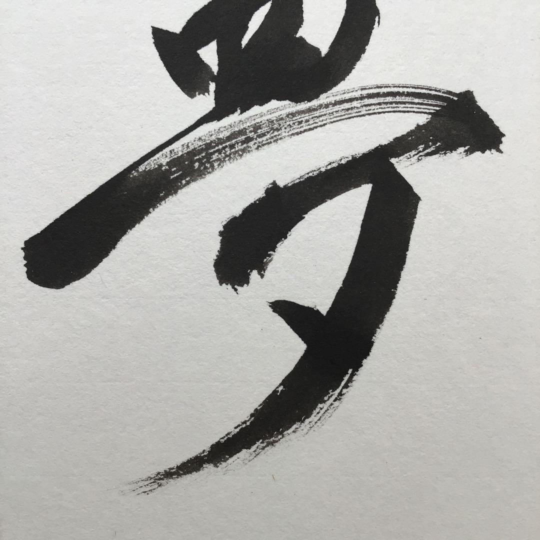 色紙　「夢」　松尾流　松尾宗倫(号:葆光斎)直筆　畳紙　配送用袋　S1033SS