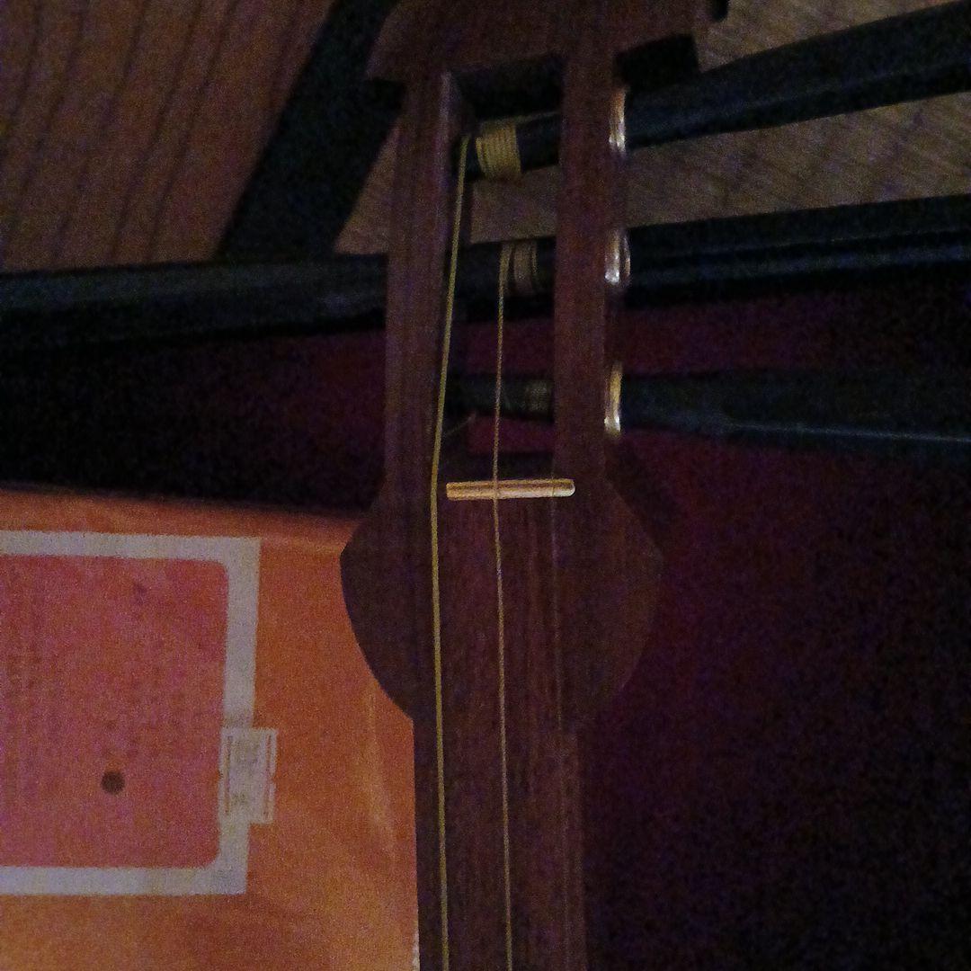 三味線(ケース・バチ・バチカバープレゼント)