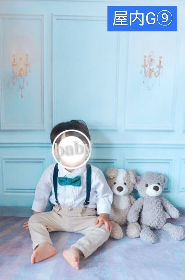 背景布【ガーデンG】サンプル　ペット、ドール撮影用ブース　薔薇　紫陽花　梅雨