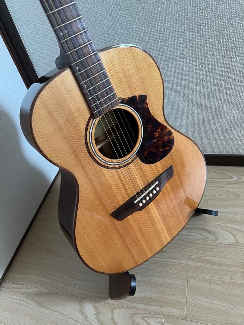 James オール単板 エレアコ　j-800a