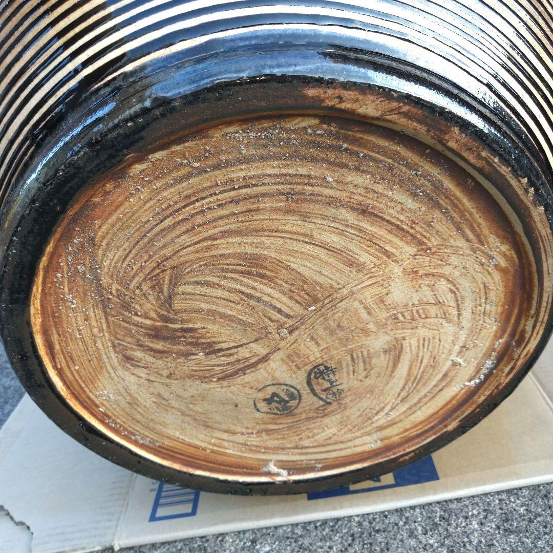 エメラルドグリーン 葉 花 草 火鉢 めだか鉢 金魚鉢