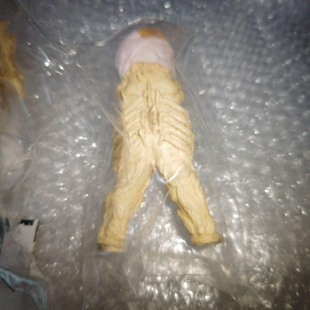 怪獣無法地帯　シーボーズ　ガレージキット　未組立