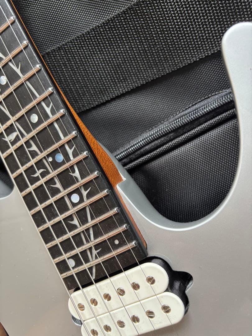 【最終値下】【ほぼ未使用】Ibanez TOD10 ソフトケース付き