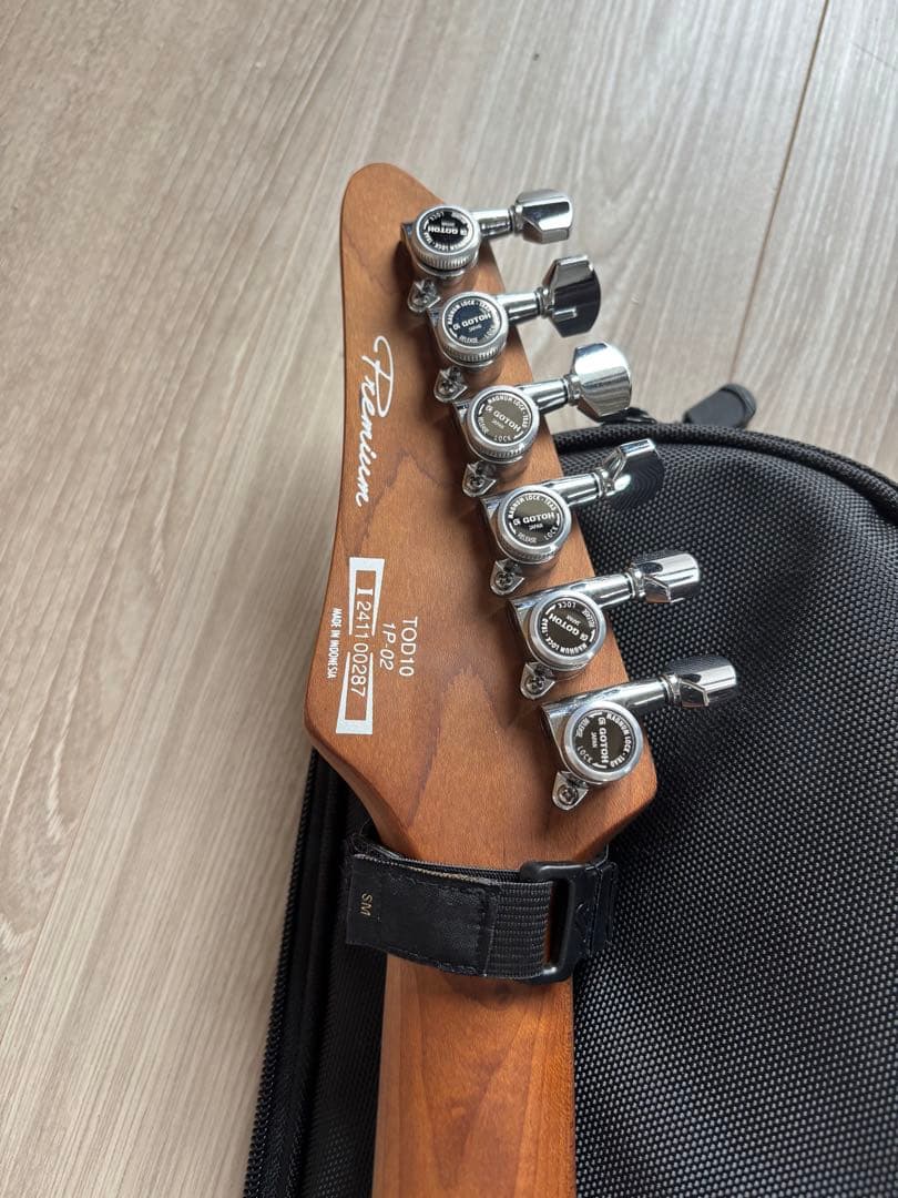 【最終値下】【ほぼ未使用】Ibanez TOD10 ソフトケース付き