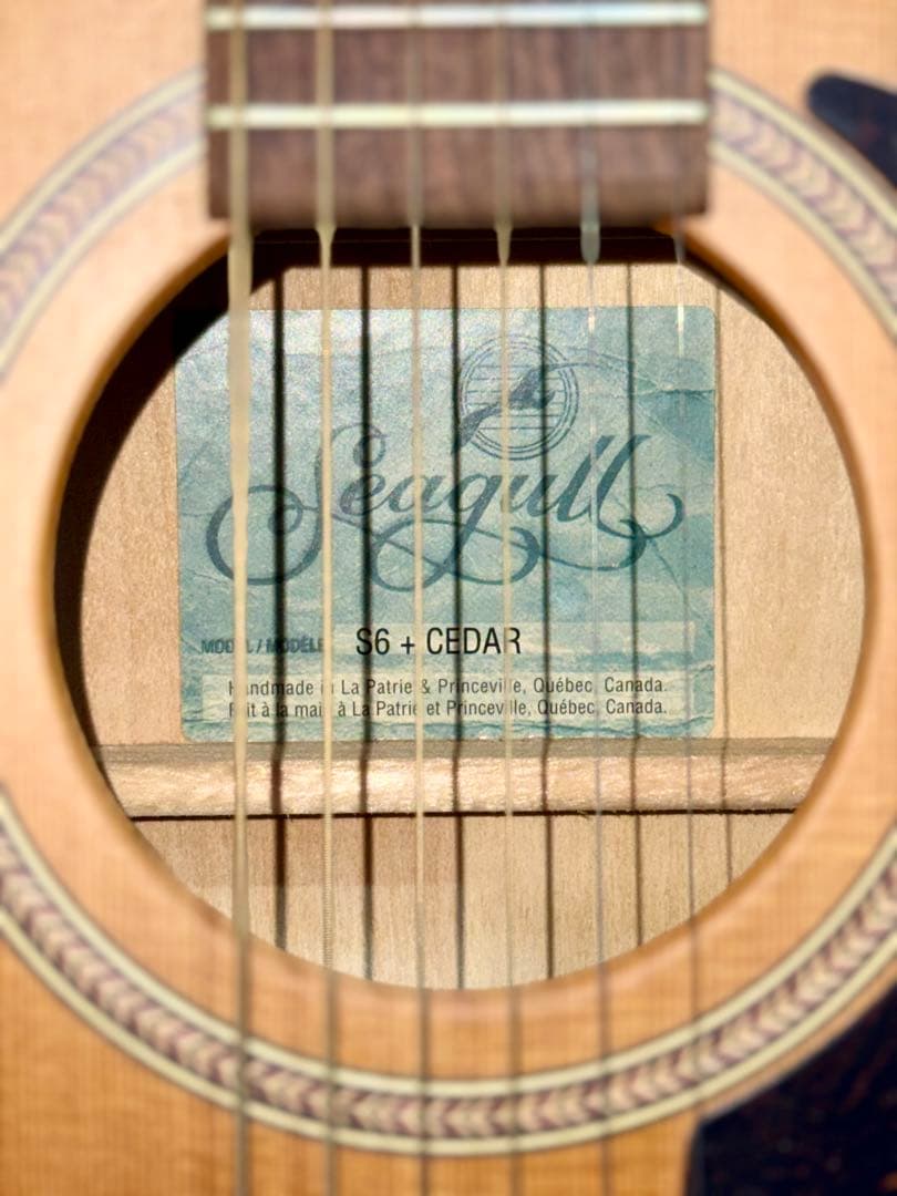 【中古】Seagull / シーガル　S6+CEDAR アコギ　ギター
