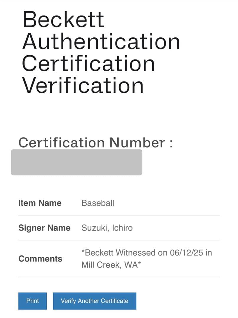 イチロー 直筆サインボール (NPB公式球)