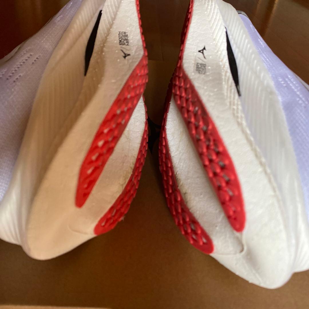 Mizuno WAVE REBELLION PRO 2 26.5cmプレート入り