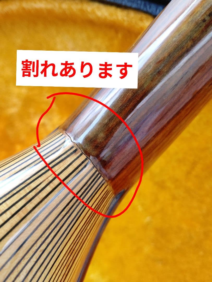 マンドリン監修者: 野口 実(あ13)