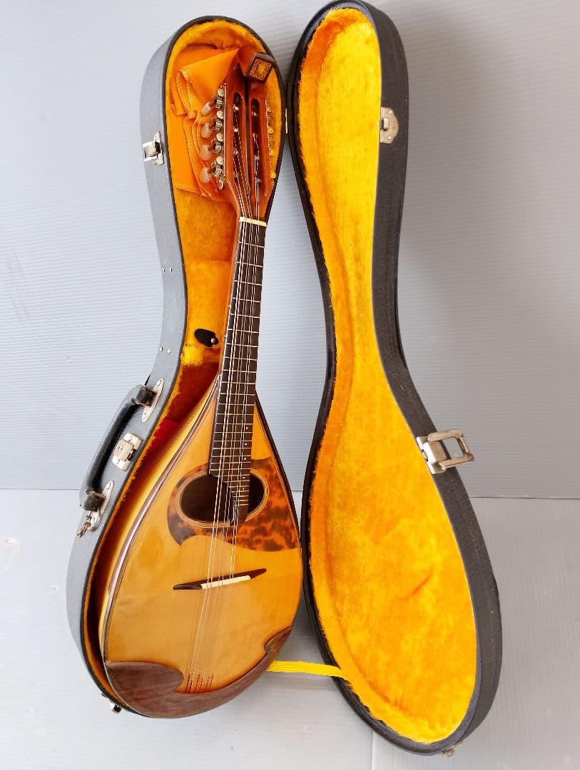 マンドリン監修者: 野口 実(あ13)