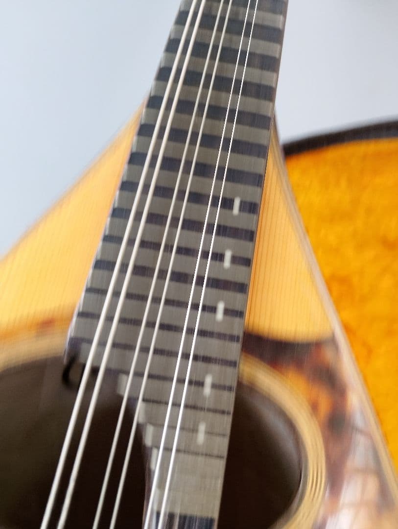 マンドリン監修者: 野口 実(あ13)