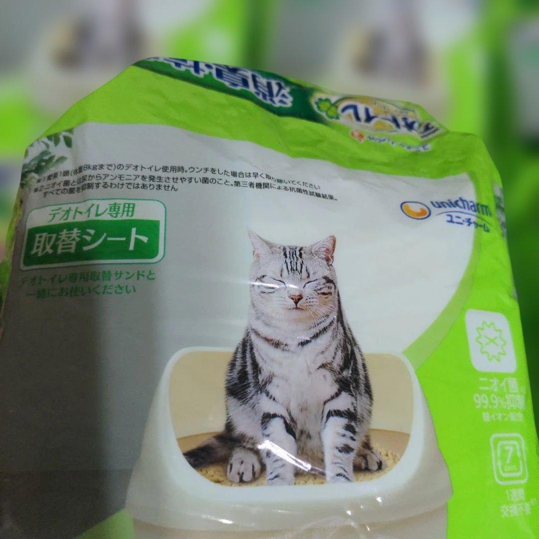 新品 デオトイレふんわり香る消臭・抗菌シート無香料【合計160枚】20枚×8袋