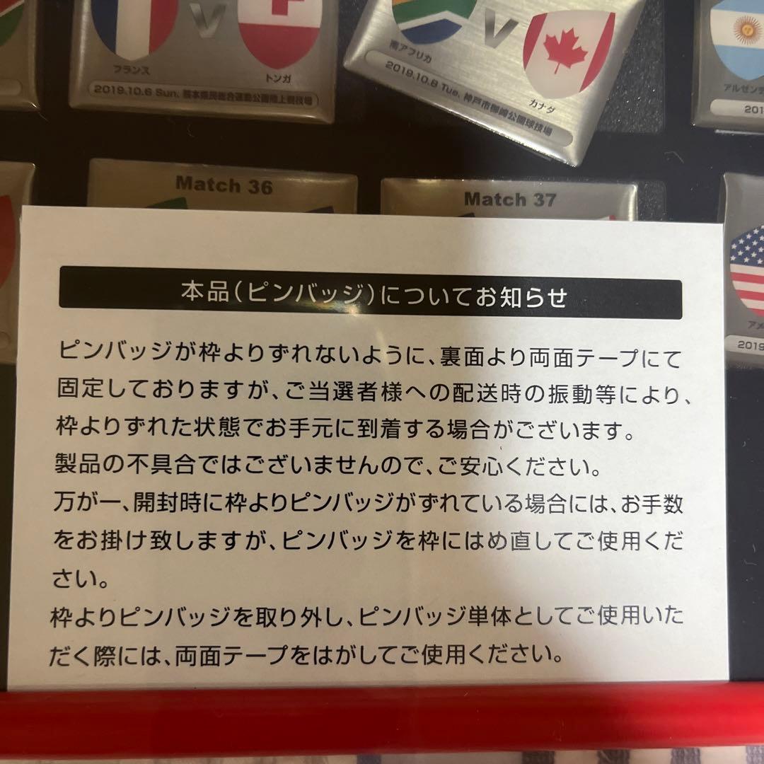非売品　限定　ラグビーワールドカップ 2019 リポビタンD ピンバッチセット