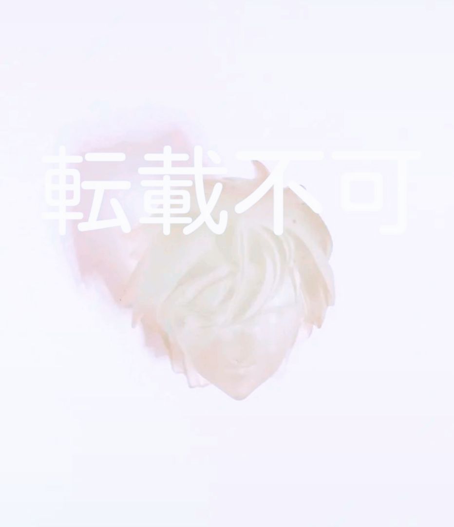 渚カヲル フィギュア クリア レジンキット エヴァ ワンフェス 海洋堂 浅井真紀