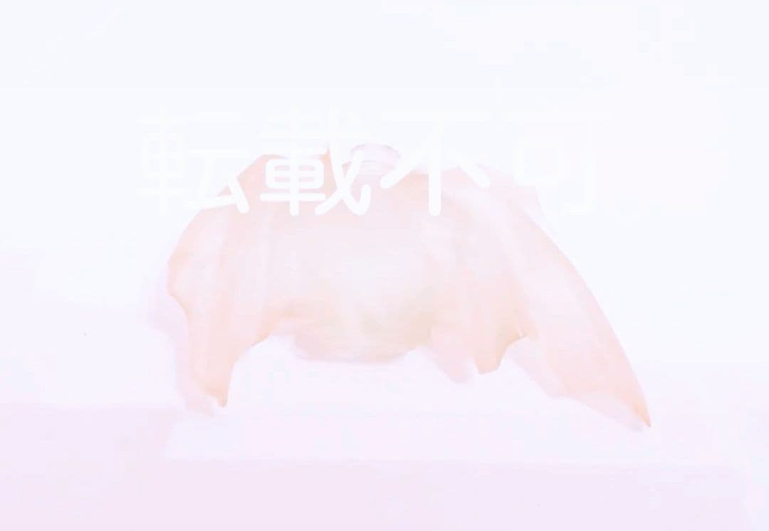 渚カヲル フィギュア クリア レジンキット エヴァ ワンフェス 海洋堂 浅井真紀