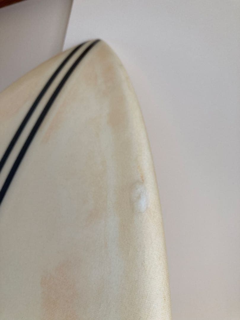 アルメリック　チャンネルアイランド　スパインテック　CI Fish