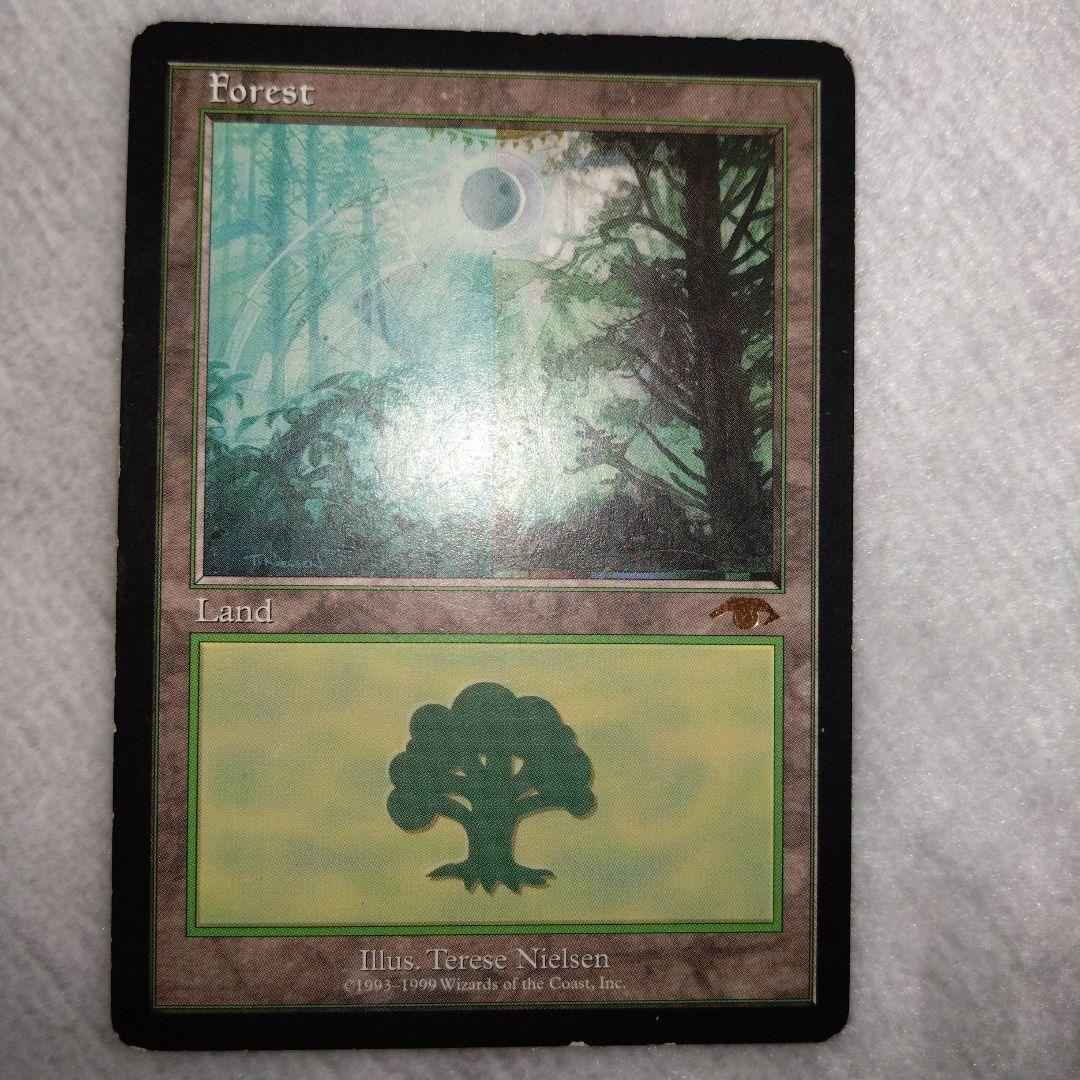 mtg guruランド　グルランド　森　PLD