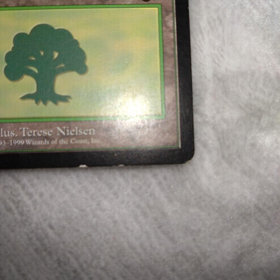 mtg guruランド　グルランド　森　PLD