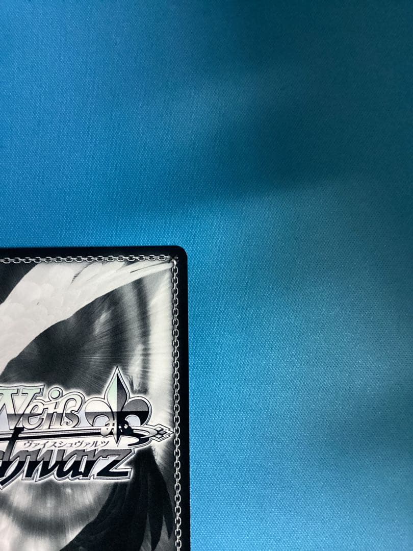 WS 新しいことの始まり SEC