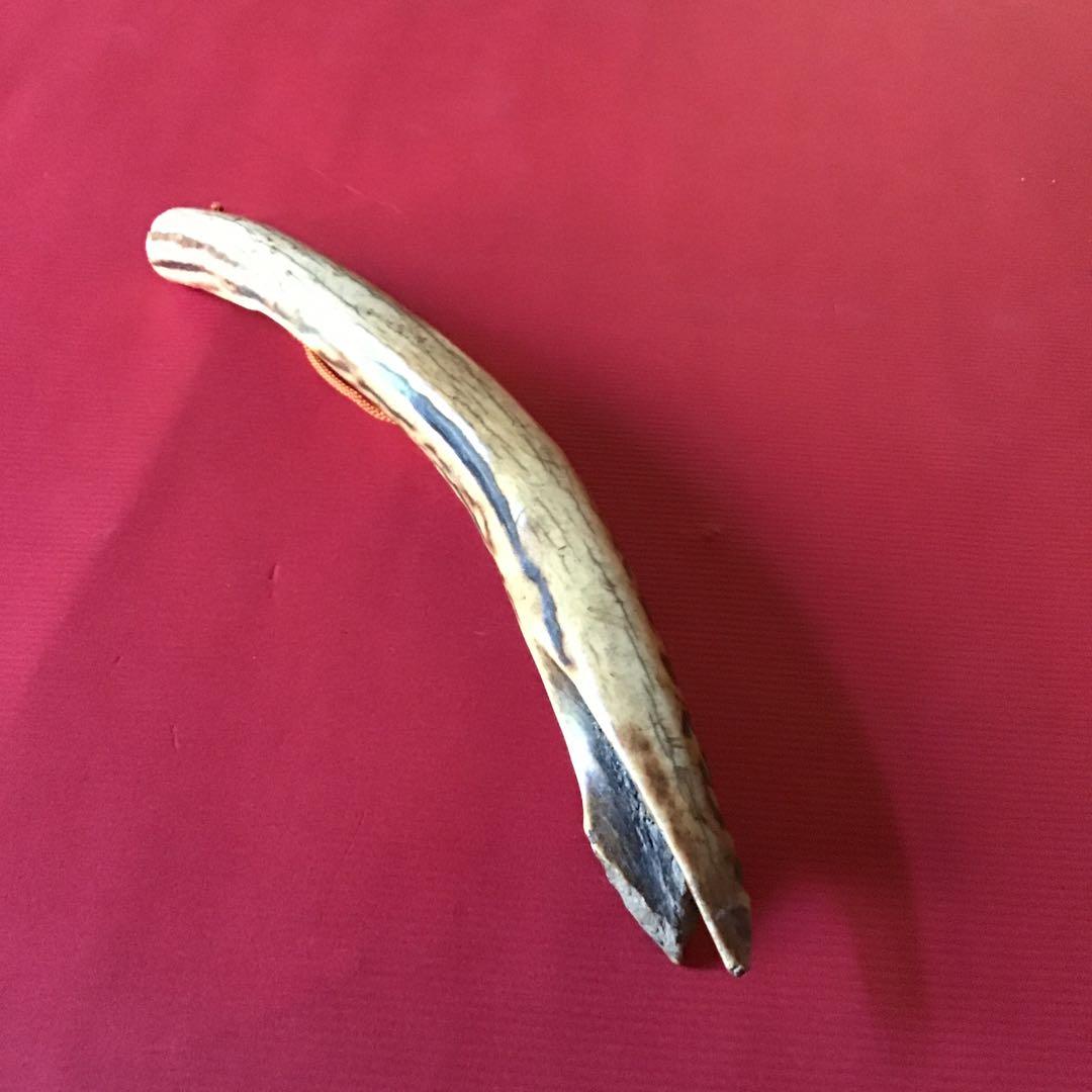 差し根付け　時代物　トロトロの日本ホンシュウ鹿角材質　B2