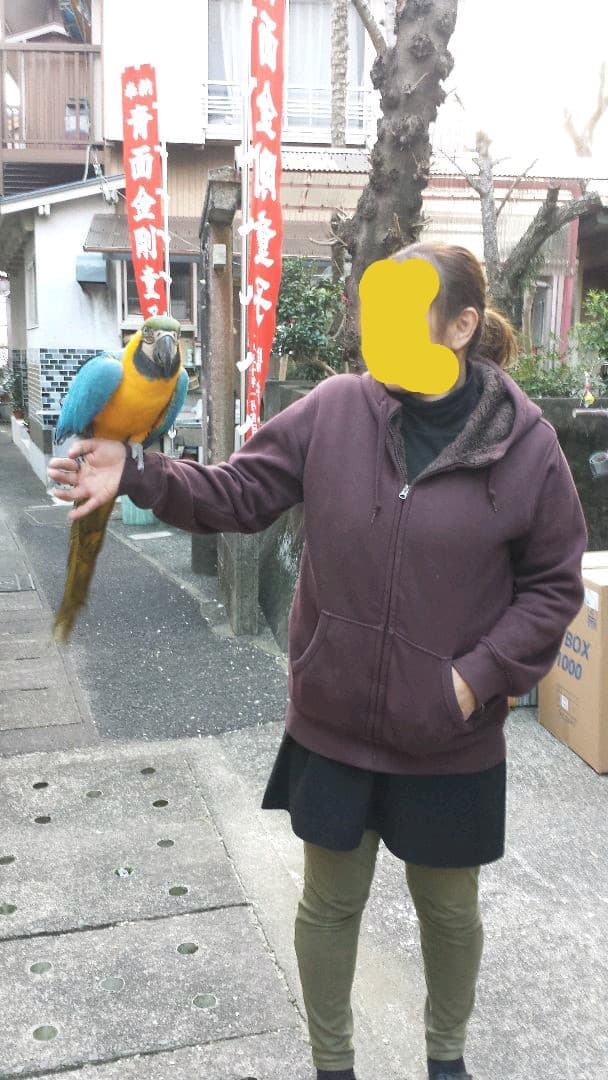 止まり木&オウムスタンド&他色々{コメント用}