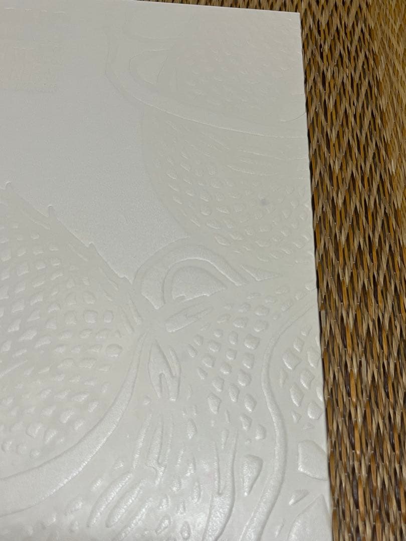 Bruce Lee李小龍 メモリアル写真集 vol.2 フレーム付限定2000部