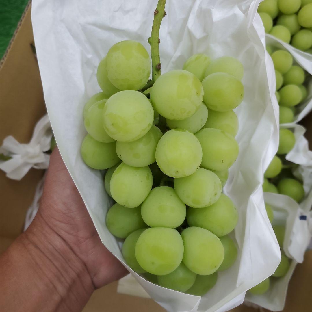 8️⃣ 山梨県産 シャインマスカット １０房入り 箱込み5.4キロ