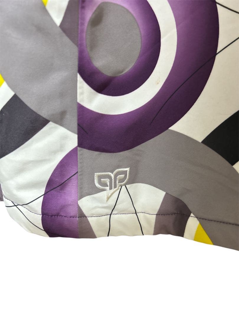 【未使用】ノースフェイス　スノージャケット　刺繍　Mメンズ　ウィンタースポーツ