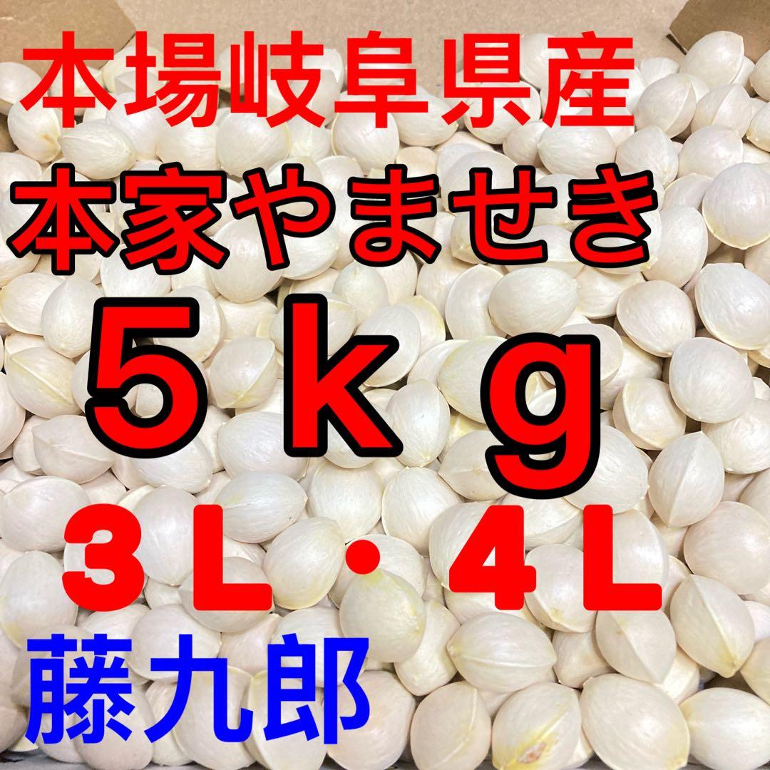 特売！本場岐阜県産！本家やませき、藤九郎，銀杏、３Ｌ以上♪５ｋｇ
