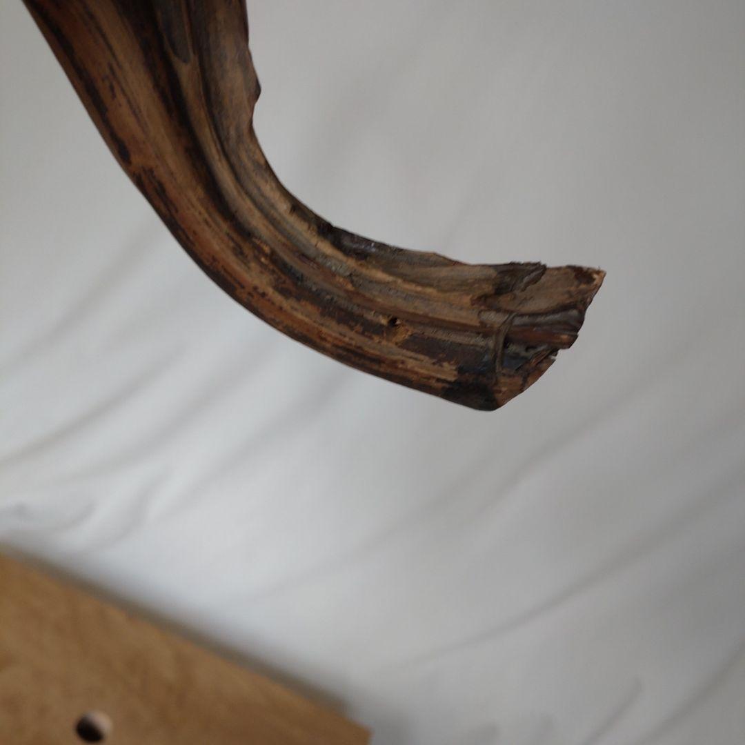 いけばなに使用した枯れ木　中古オブジェ
